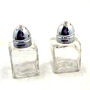 Rental store for Salt Pepper Shakers Small in Fort Worth TX