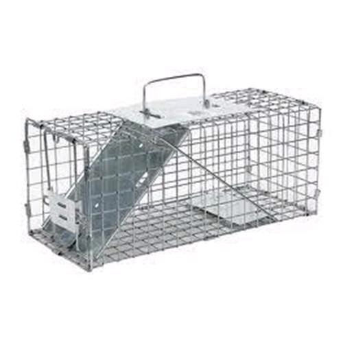 Rental store for 12  Single Door Animal Trap in Fort Worth TX